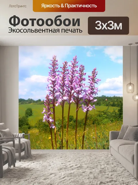 Фотообои Корень комара