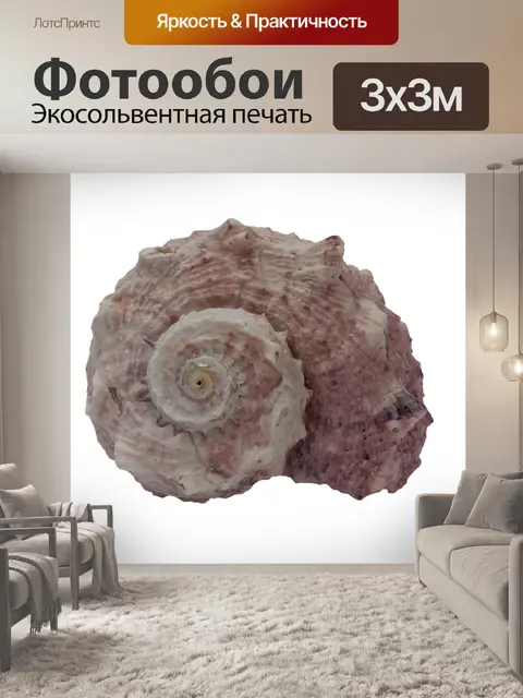 Фотообои Морские улитки