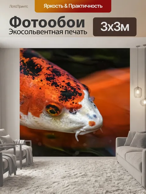 Фотообои Koi
