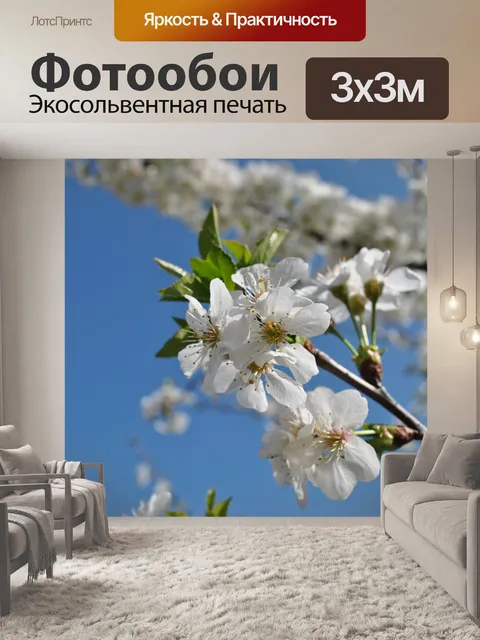 Фотообои Цветы