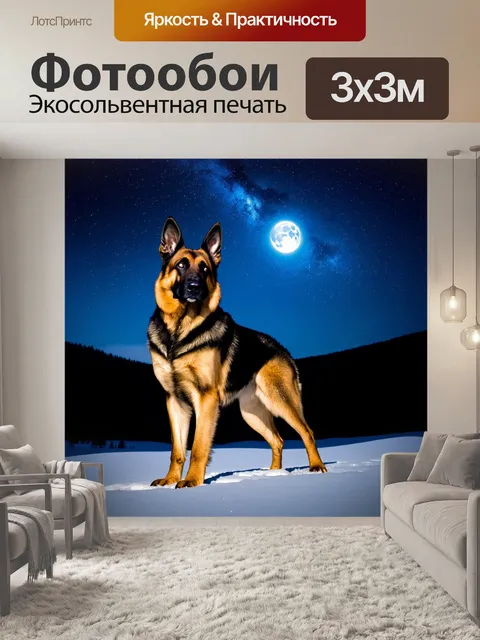Фотообои на фоне ночного неба с миллионами звёзд старая немецкая овчарка стоит на снегу