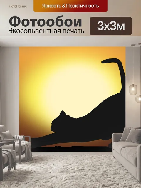 Фотообои Кот на закате