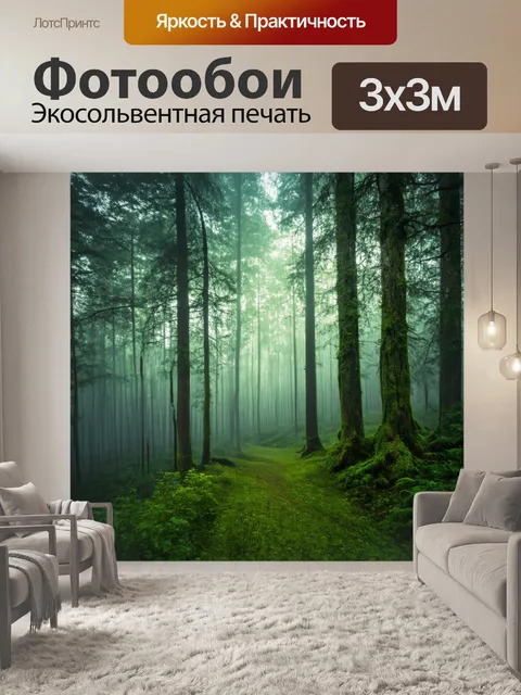 Фотообои светлый лес с поднимающимся туманом, глазонебо, спокойствие