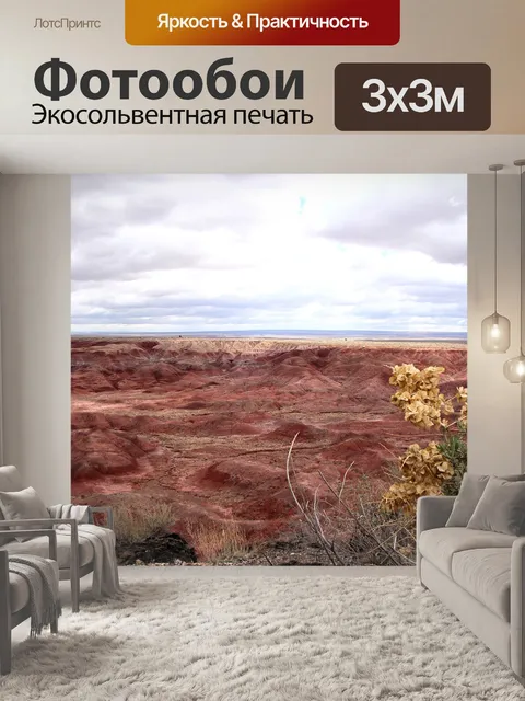 Фотообои Окаменевший лес национальный парк