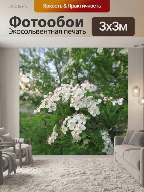 Фотообои Трава