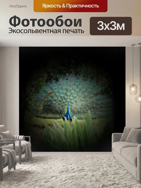 Фотообои Все глаза на вас