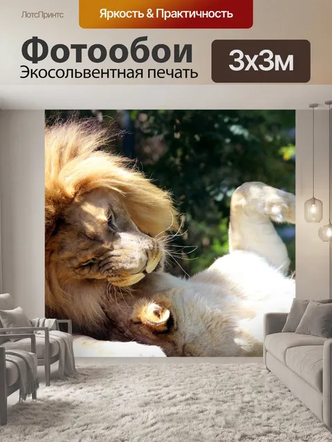 Фотообои Львы играют 2