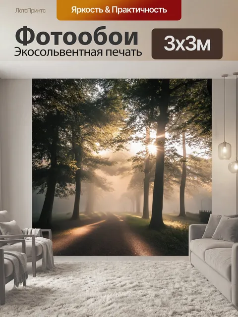 Фотообои туман в стиле романтизм