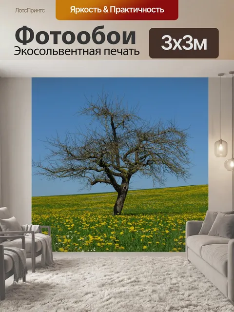 Фотообои Одуванчик