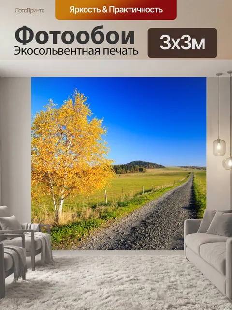 Фотообои Береза осенью