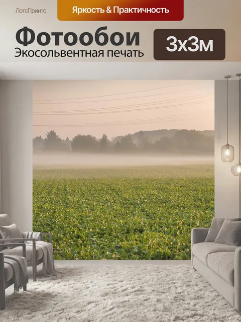 Фотообои Утренняя дымка