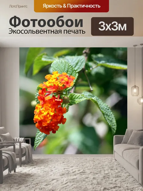 Фотообои Поле вишневый цветок и листья