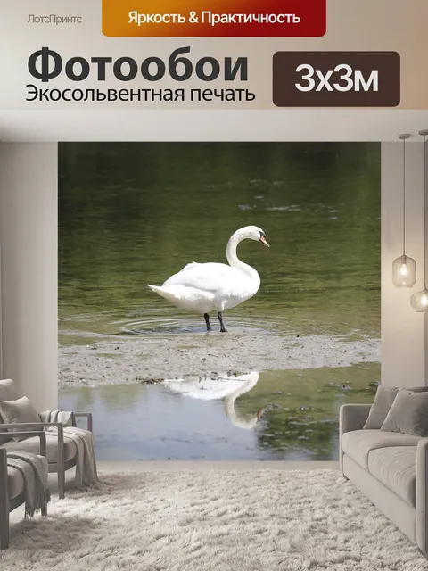 Фотообои Лебедь