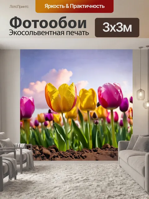 Фотообои нежные желтые тюльпаны, перетекающие в оранжевые оттенки, растут среди розовых и фиолетовых цветков