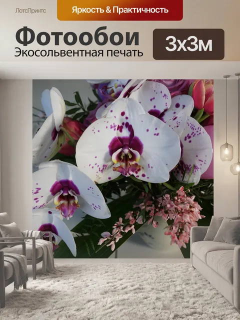 Фотообои Орхидея