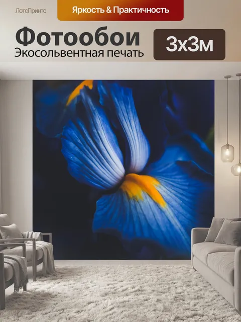 Фотообои синий ирис цветок крупным планом