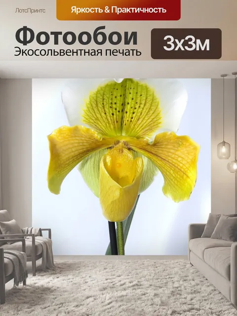 Фотообои Женская обувь