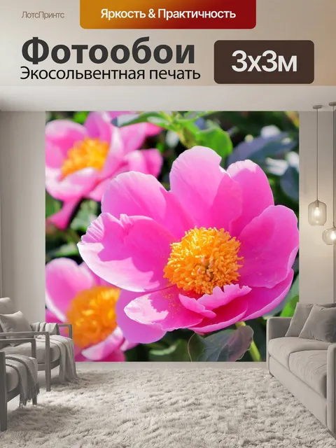 Фотообои Цветы