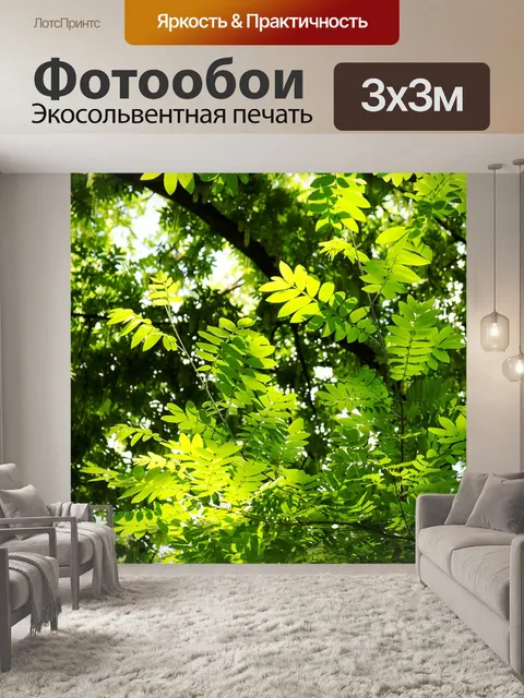 Фотообои Деревья
