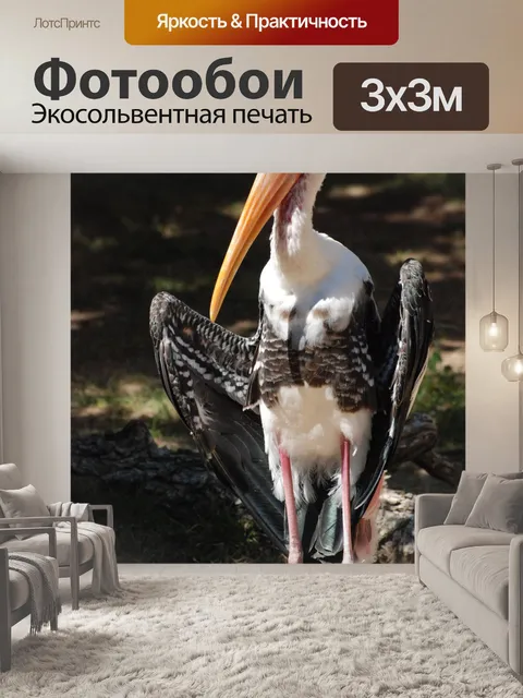 Фотообои Марабу аист