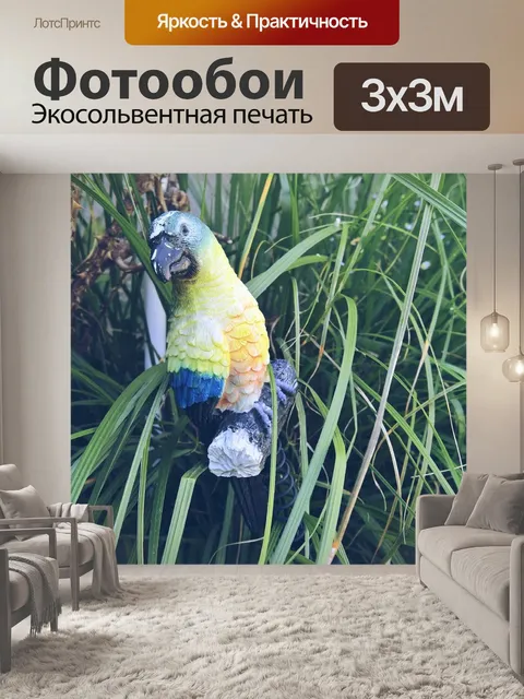 Фотообои Птица