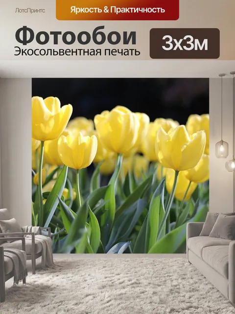 Фотообои Тюльпаны