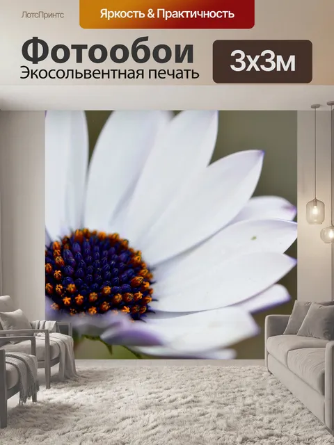 Фотообои Цветок