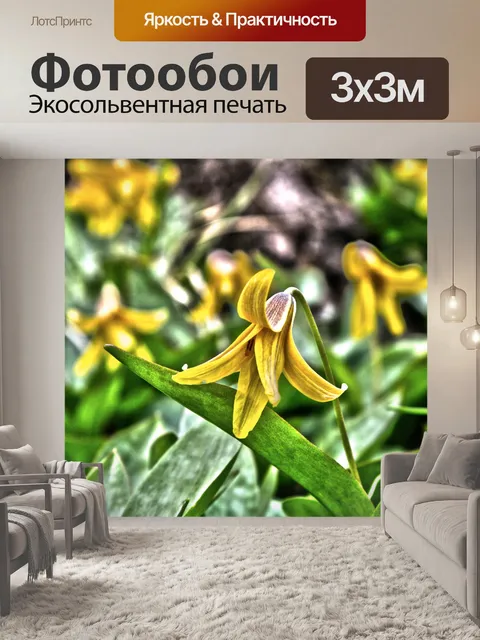 Фотообои Красивый желтый Дикий цветок