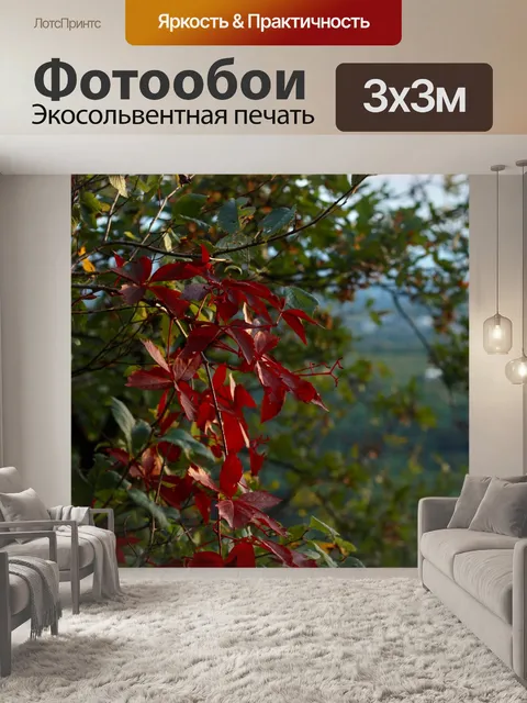 Фотообои Листья