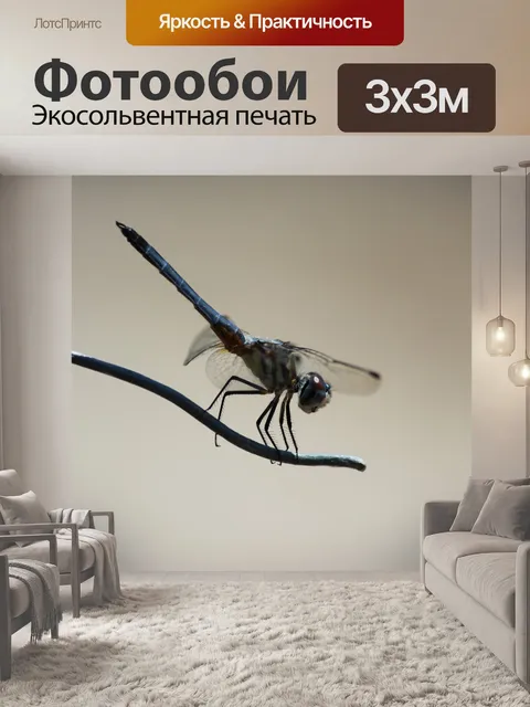 Фотообои Dragonfly 1