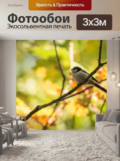 Фотообои Выйдя на ветке