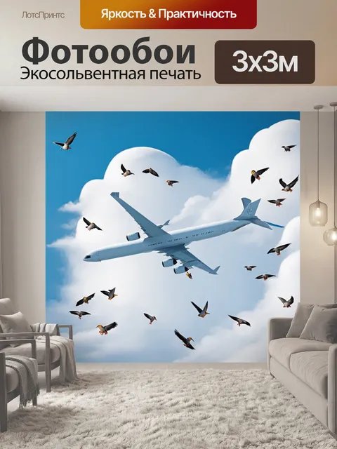 Фотообои самолет в стиле минимализм, в облаках, в окружении птиц