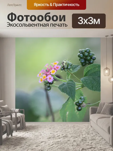 Фотообои розовыми цветами