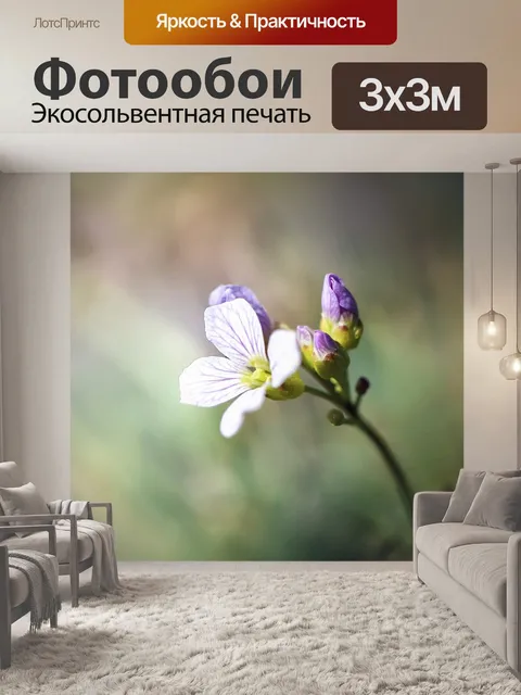 Фотообои Цветок