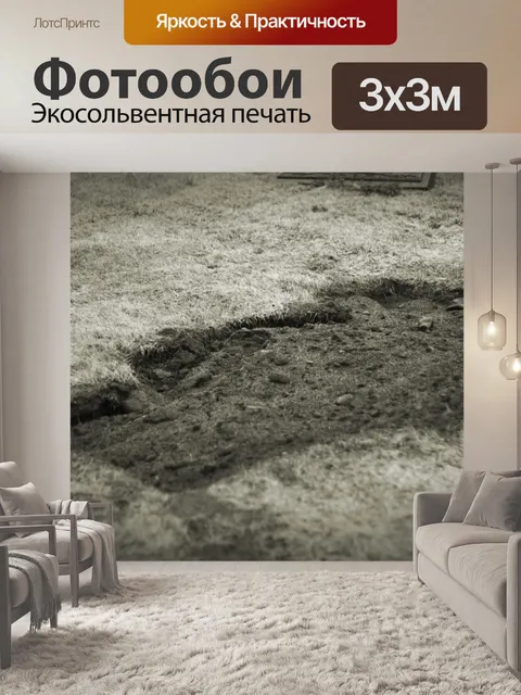 Фотообои Свежий Grave