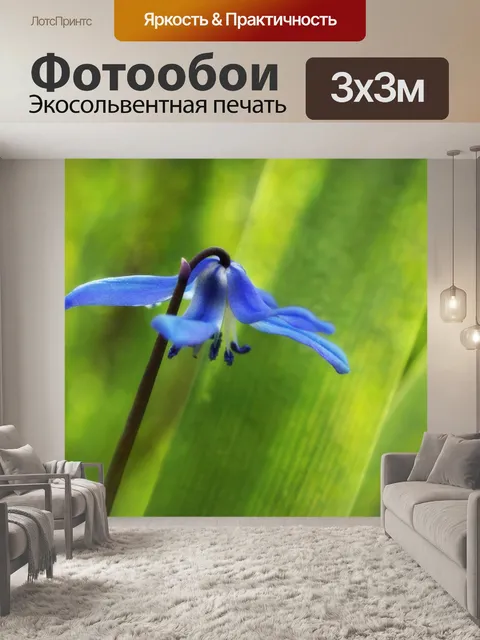 Фотообои Blossom blue абстрактное искусство