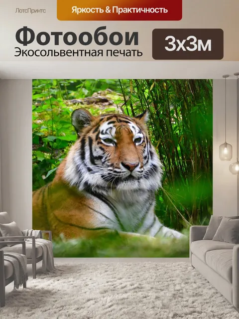 Фотообои Тигр