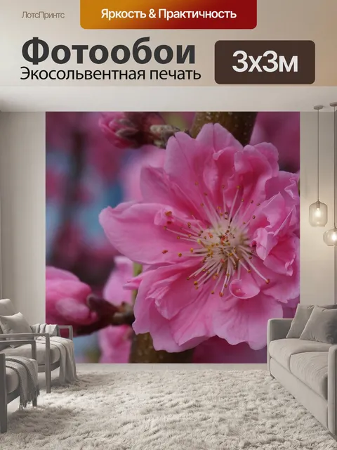 Фотообои Цветение сливы