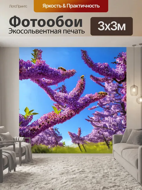 Фотообои сирень, раскинувшая свои густые, фиолетовые соцветия, плавно тянет