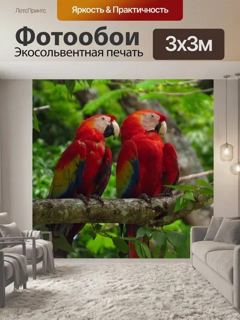Фотообои Ара