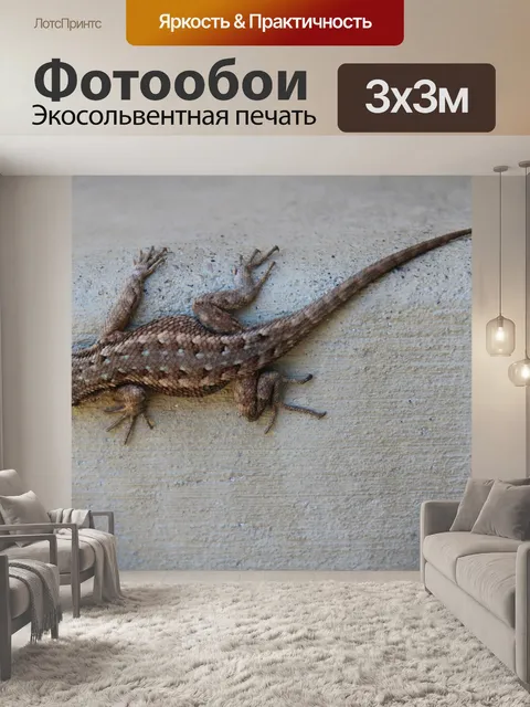 Фотообои Маленькая ящерица