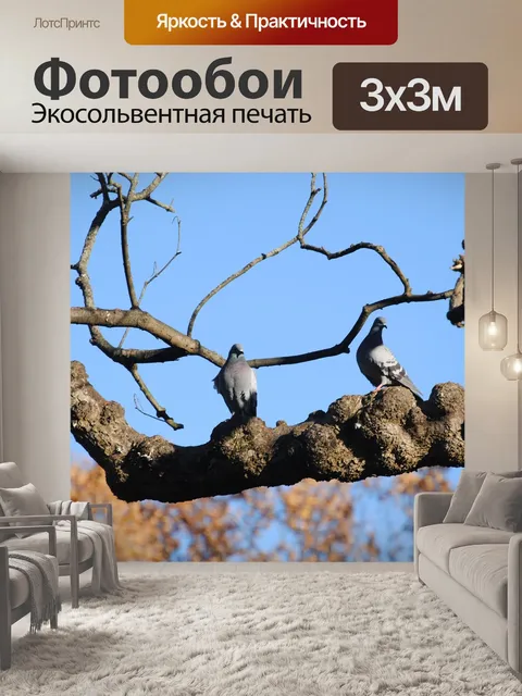 Фотообои Пейзаж