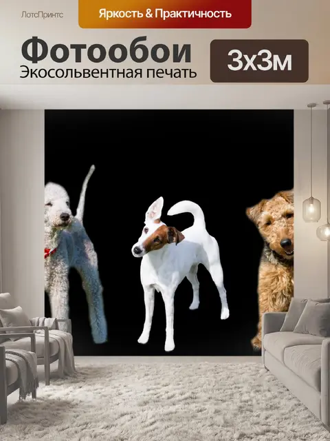 Фотообои Собаки
