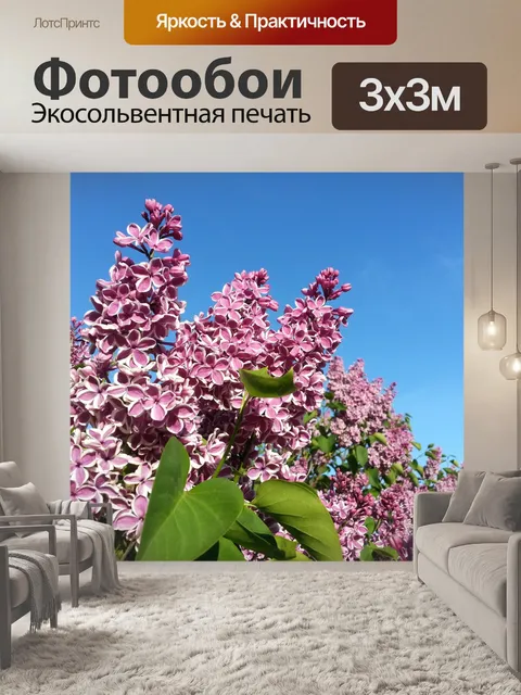 Фотообои Сиреневый