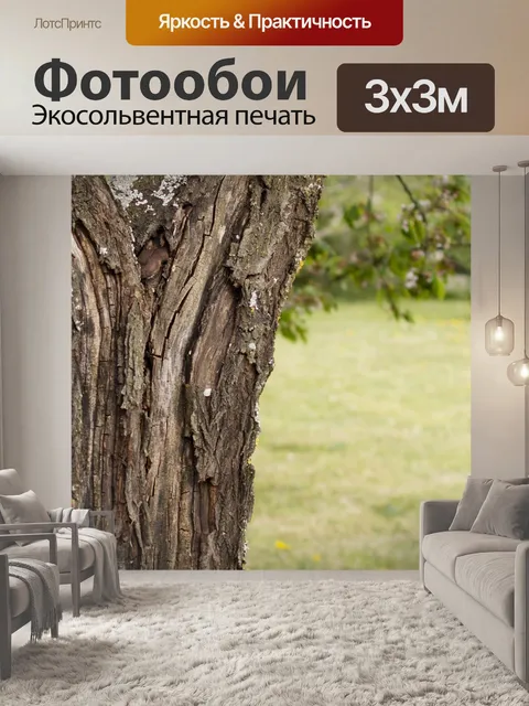 Фотообои Ствол