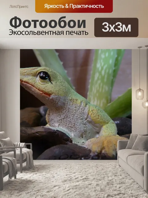Фотообои Алоэ вера