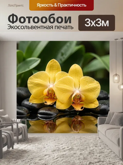 Фотообои Жёлтые орхидеи с каплями воды