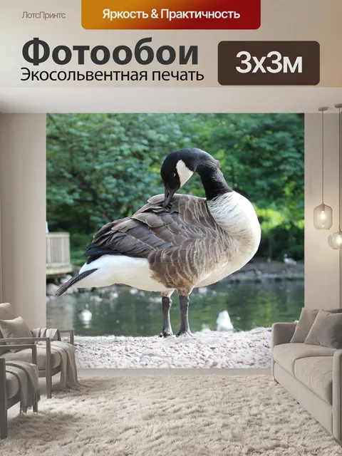 Фотообои Птица