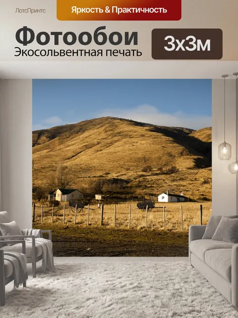 Фотообои Аргентина