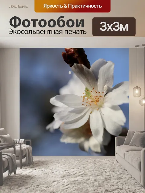 Фотообои Зимняя вишня